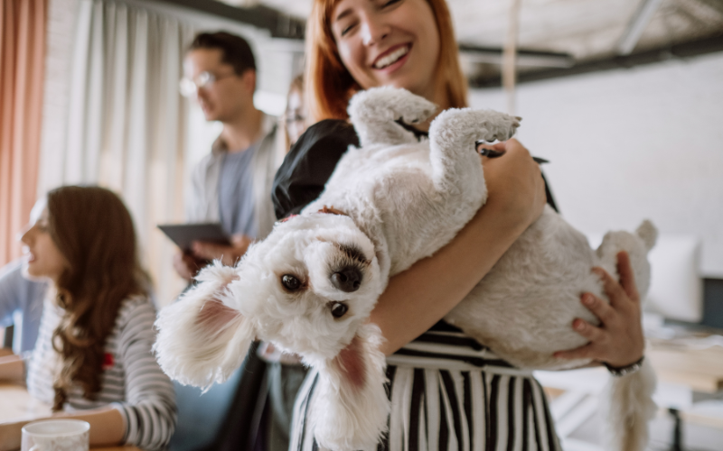 Easy Tips to Keep Your Pets Happy and Healthy at Home