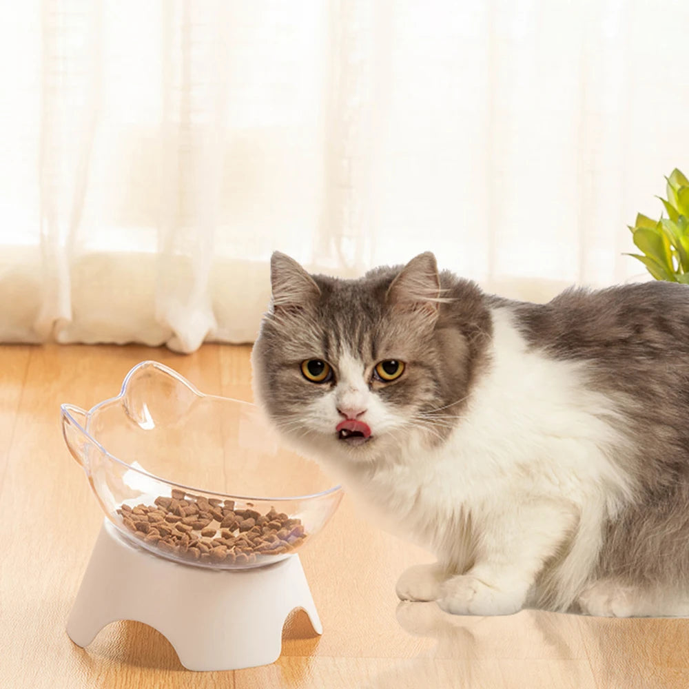 Non-Slip Pet Food  Water Bowls