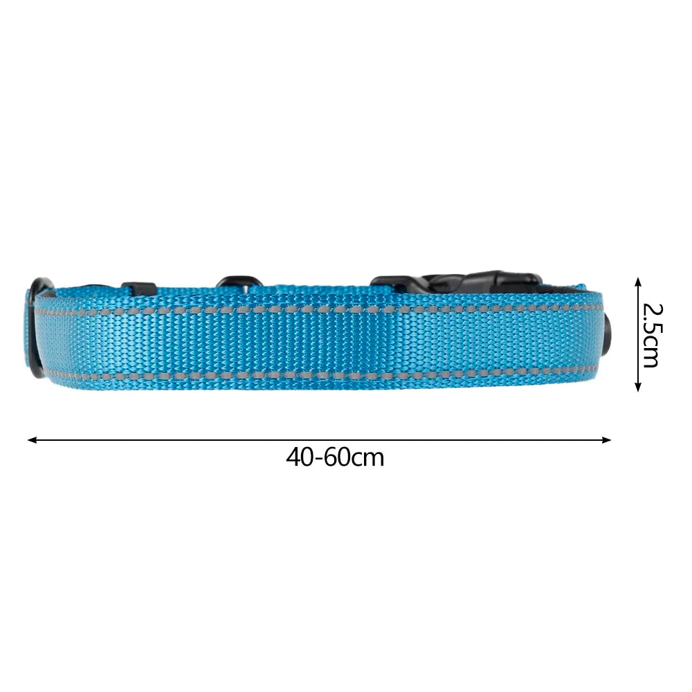 Reflective Padded Nylon Dog Collar