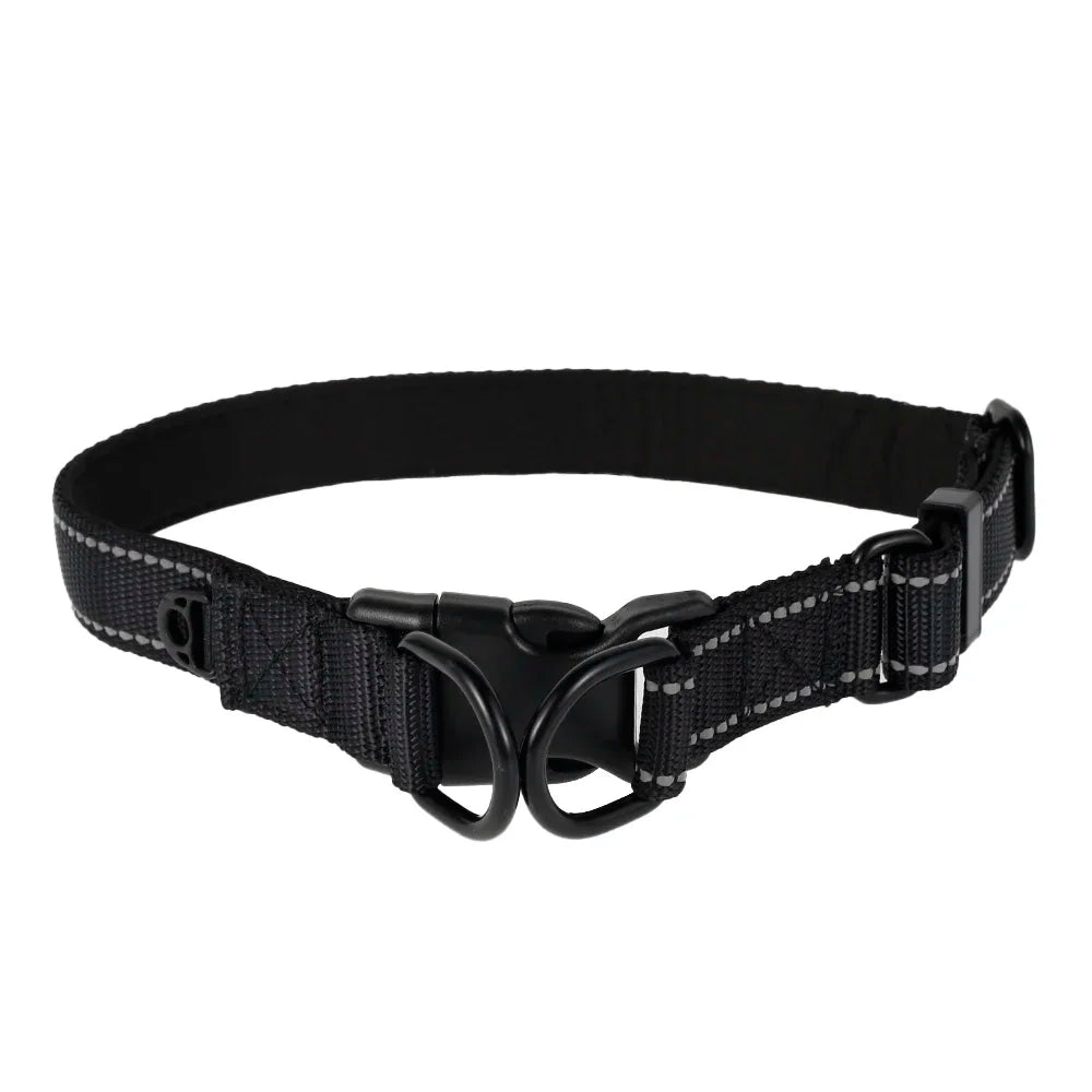 Reflective Padded Nylon Dog Collar