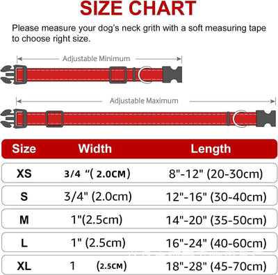 Stylish Choker Dog Collar