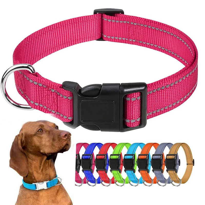 Stylish Choker Dog Collar