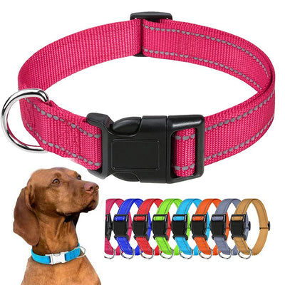 Stylish Choker Dog Collar