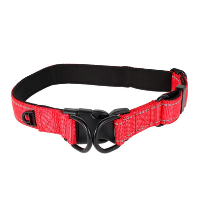 Reflective Padded Nylon Dog Collar