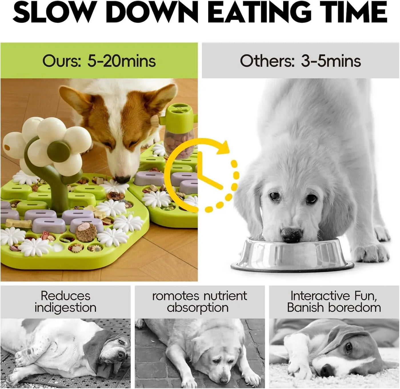 Dog Puzzle Interactive Toy