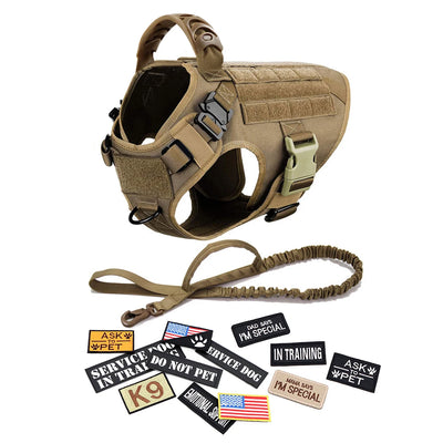 Complete Tactical Dog Gear Set