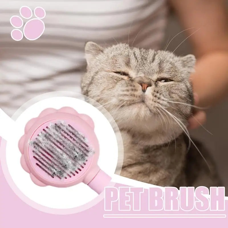 Cat Grooming Hair Care Tools