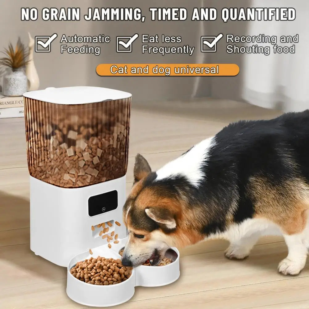 Smart Pet Feeder with Dual Bowls