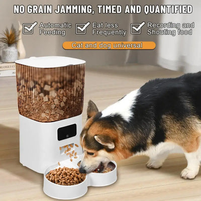 Smart Pet Feeder with Dual Bowls