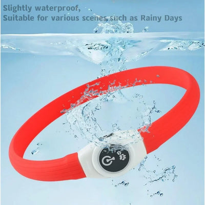 Dog USB Rechargeable Waterproof Collar