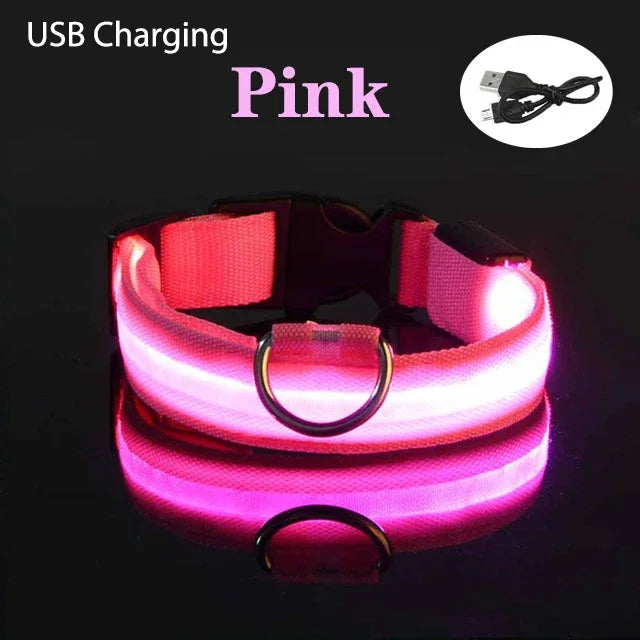 Dog USB Rechargeable Soft Safety Night Light Collar