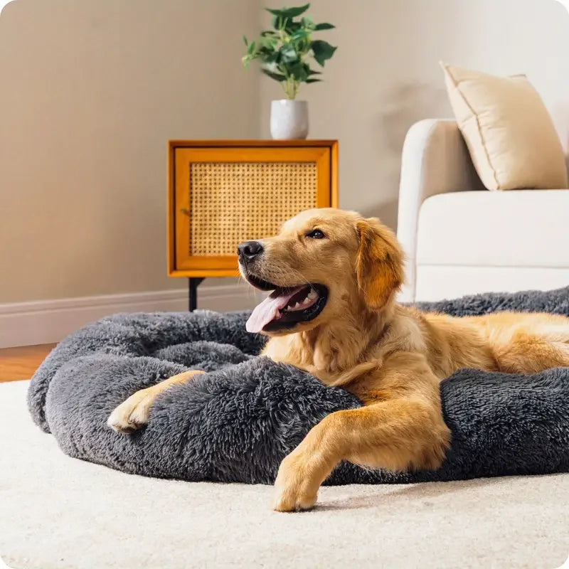 Fluffy Dark Gray Dog Bed