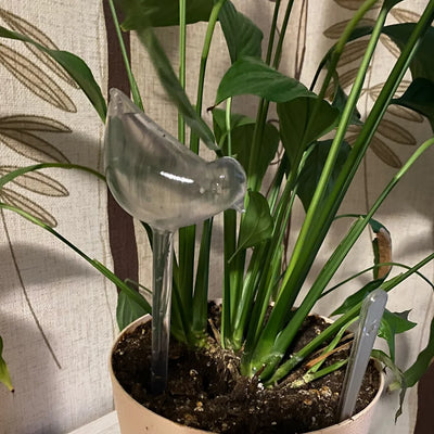 Automatic Plant Watering Bulbs