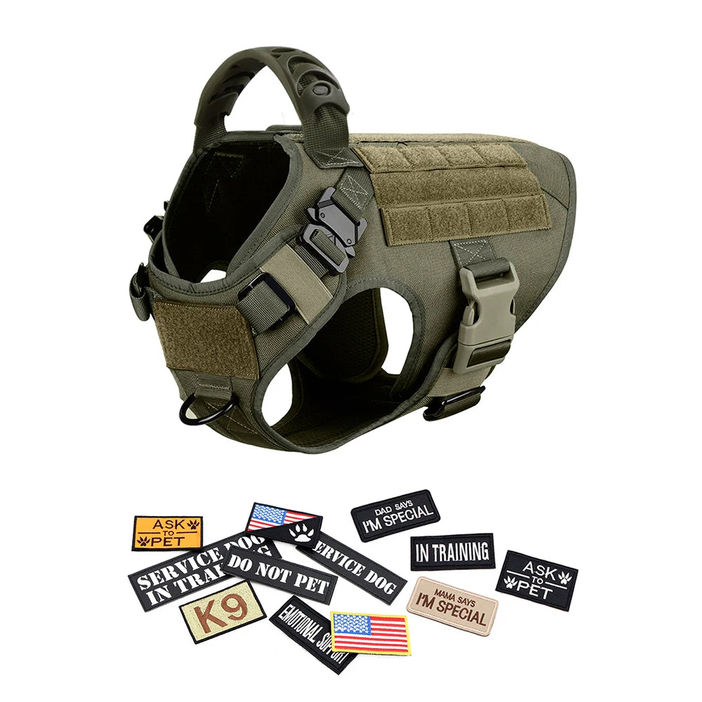 Complete Tactical Dog Gear Set
