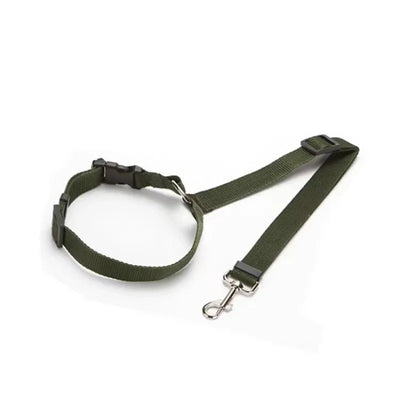 Dog Solid Color Two Nylon Lead Leash