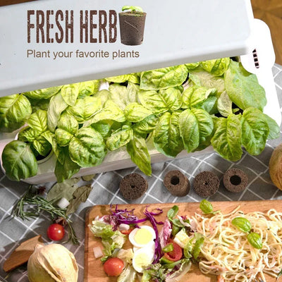 Garden Hydroponic Grow Sponge