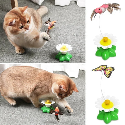 Electric Butterfly Cat Toy