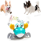 Dog Dancing Crab Toy
