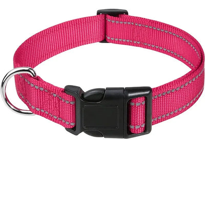 Stylish Choker Dog Collar