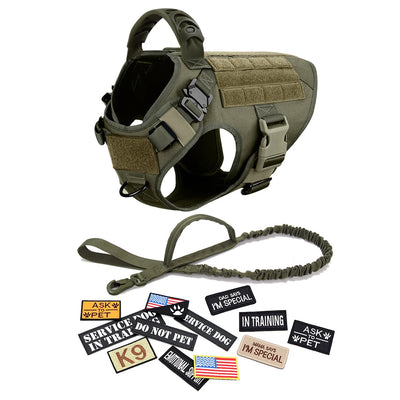 Complete Tactical Dog Gear Set