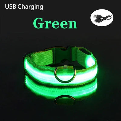 Dog USB Rechargeable Soft Safety Night Light Collar