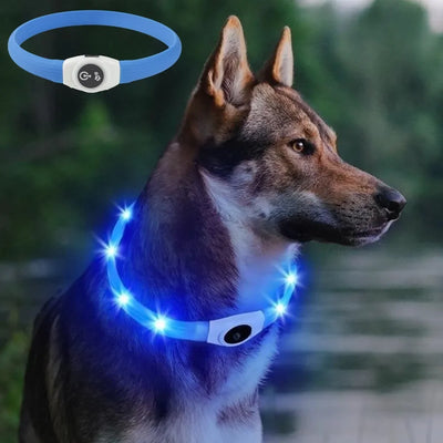 Dog USB Rechargeable Waterproof Collar