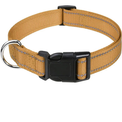 Stylish Choker Dog Collar