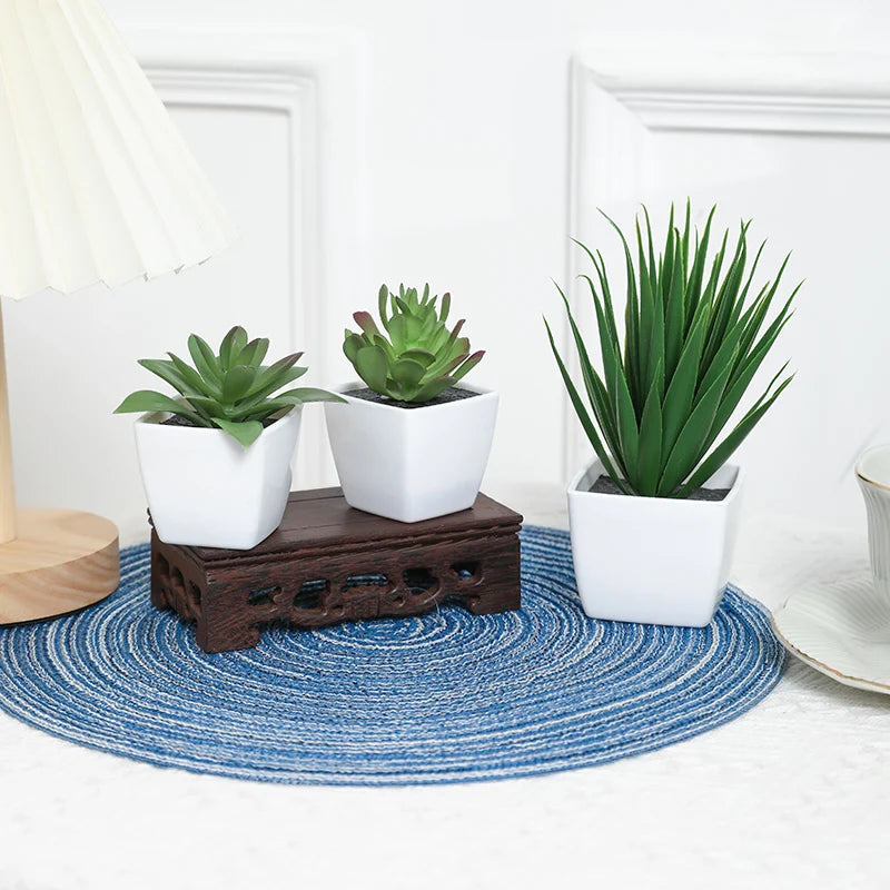 3 Pots Plant Small Potted Plant