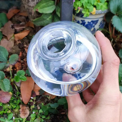 Automatic Spikes Watering Globes
