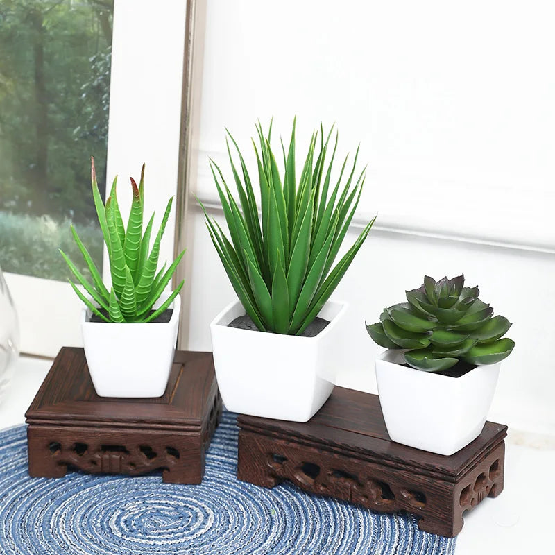 3 Pots Plant Small Potted Plant