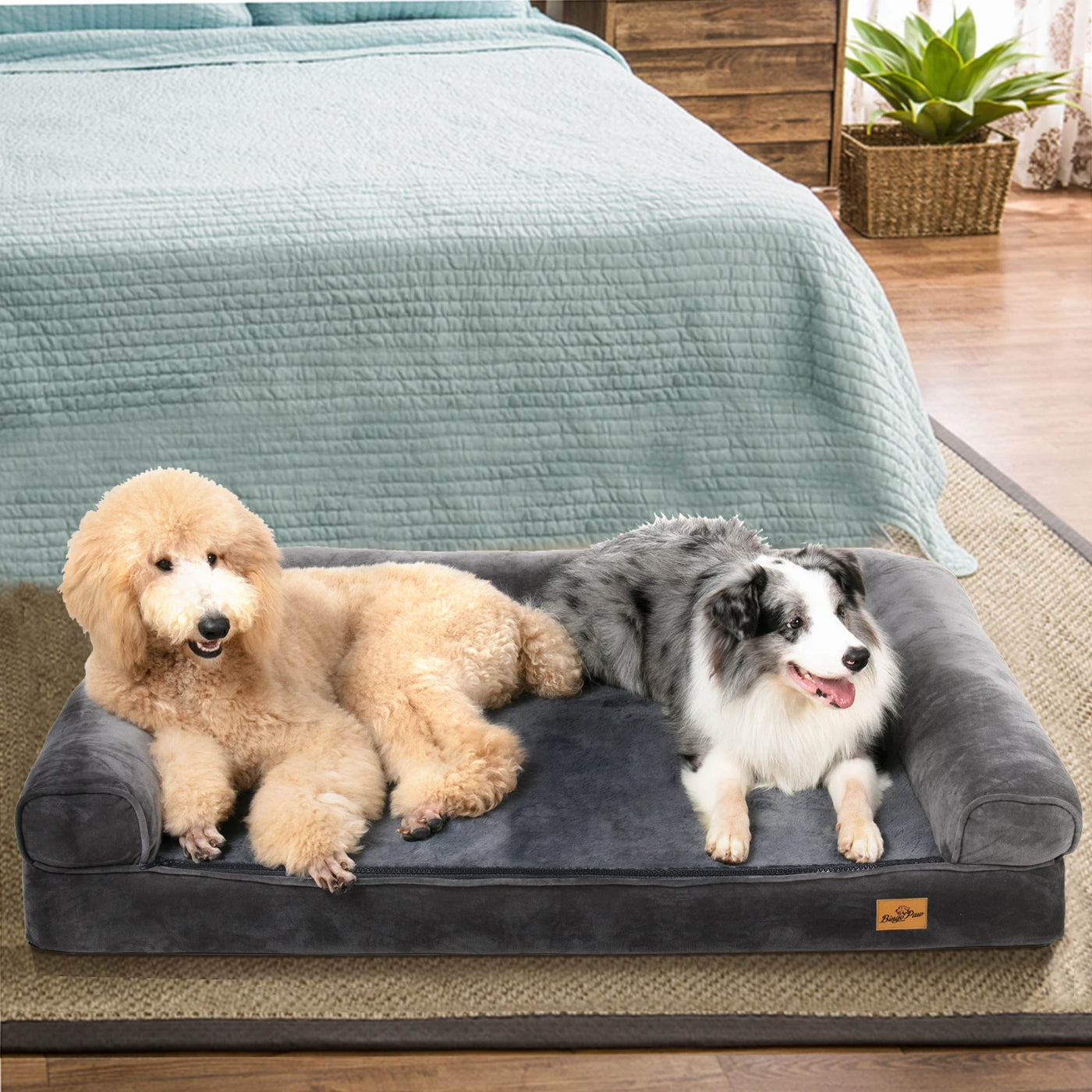 Extra Large Cozy Sofa Dog Bed with Bolster