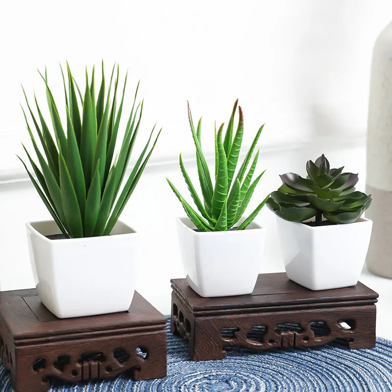 3 Pots Plant Small Potted Plant