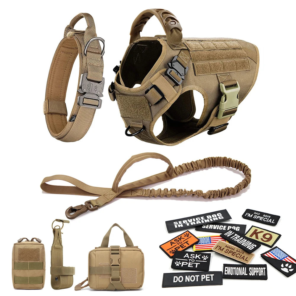 Complete Tactical Dog Gear Set