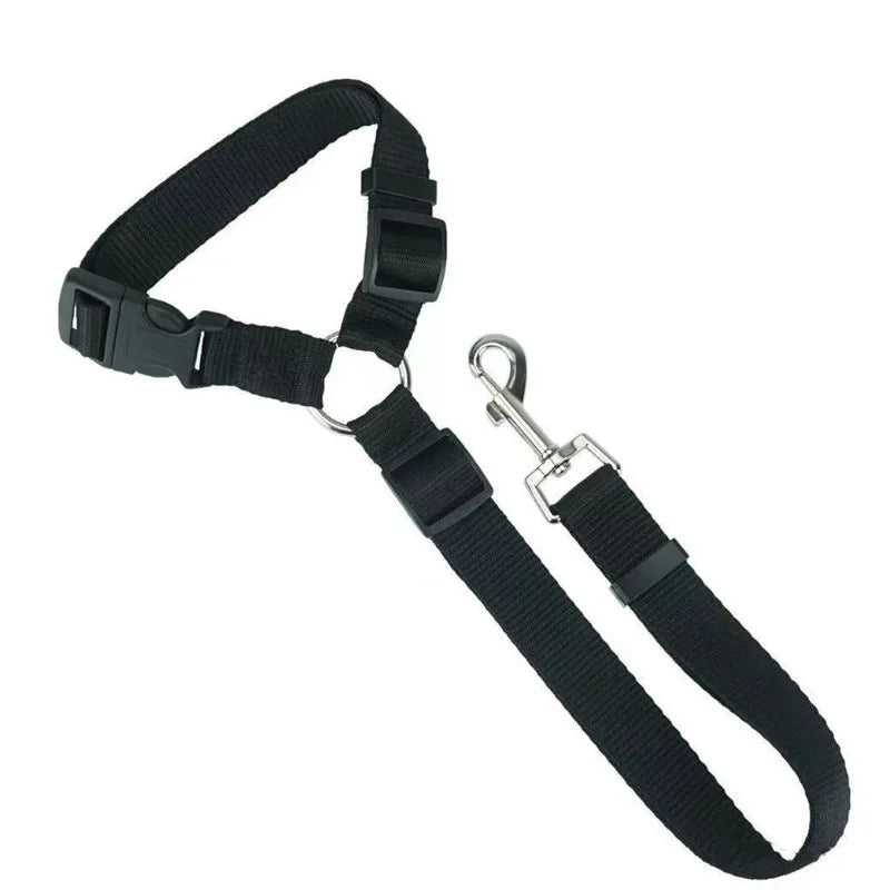 Dog Solid Color Two Nylon Lead Leash