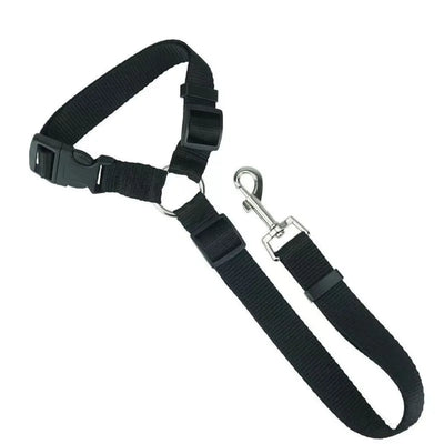 Dog Solid Color Two Nylon Lead Leash