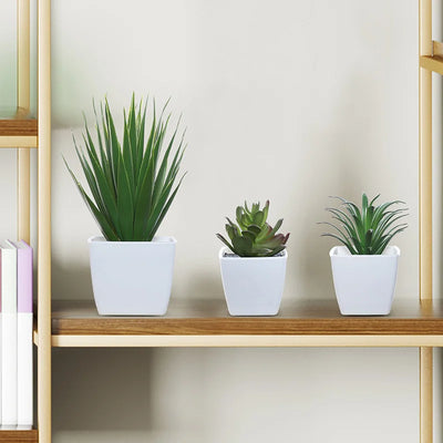 3 Pots Plant Small Potted Plant