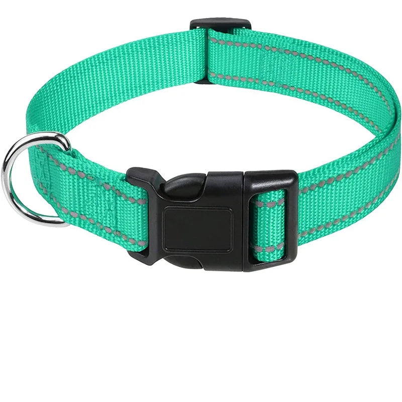 Stylish Choker Dog Collar