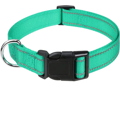 Stylish Choker Dog Collar