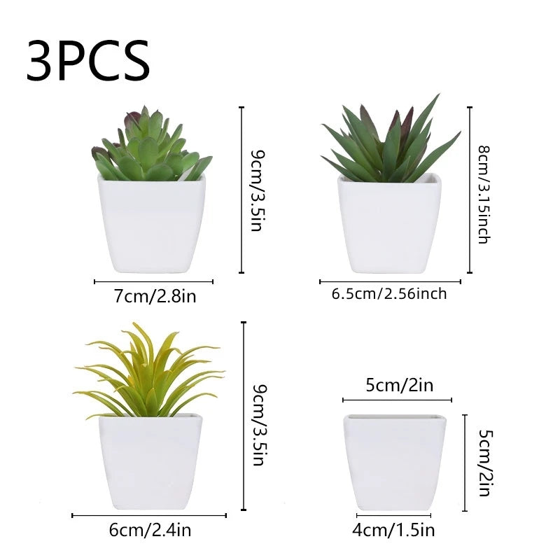 3 Pots Plant Small Potted Plant