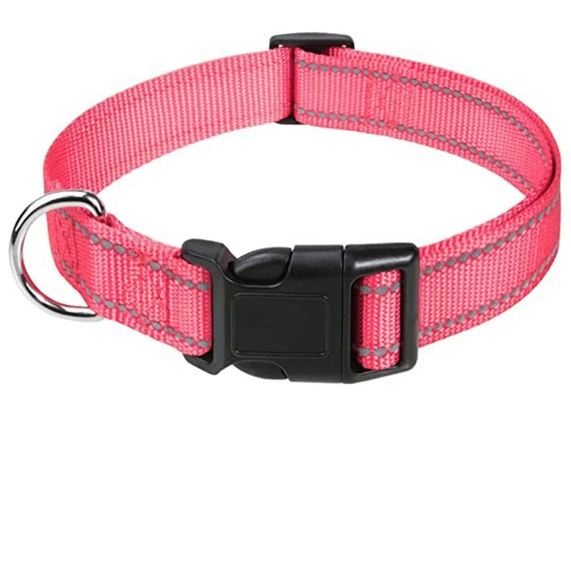 Stylish Choker Dog Collar