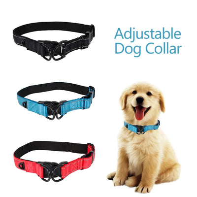 Reflective Padded Nylon Dog Collar