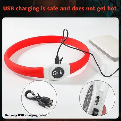 Dog USB Rechargeable Waterproof Collar