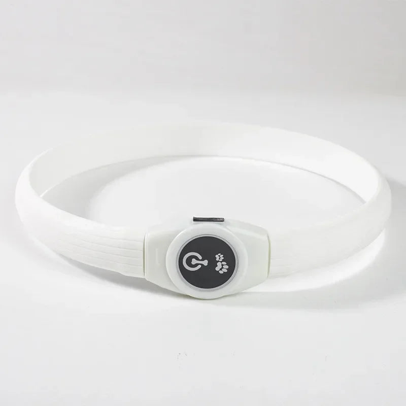 Dog USB Rechargeable Waterproof Collar