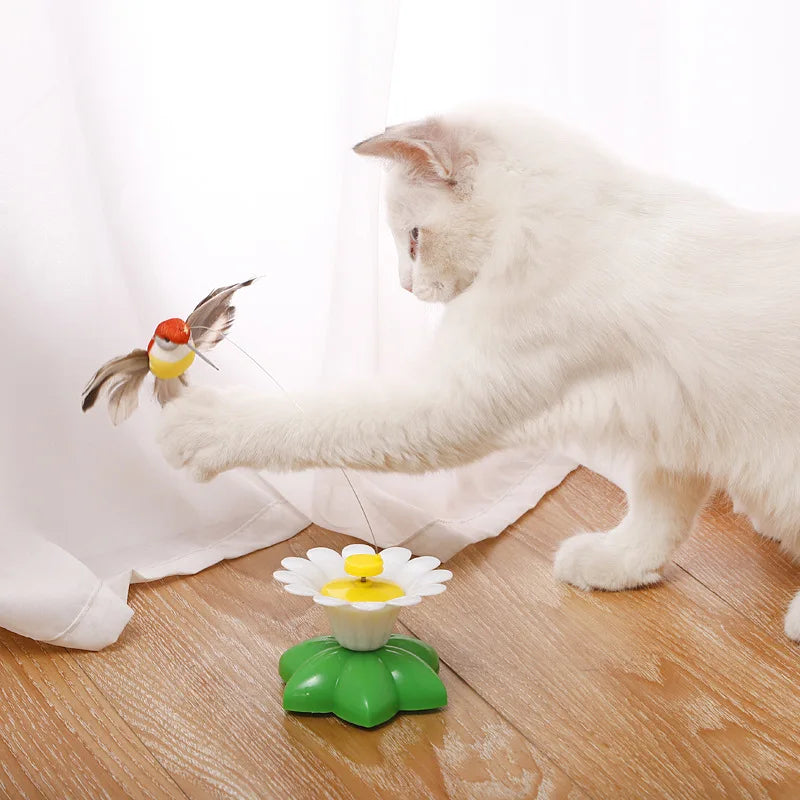 Electric Butterfly Cat Toy