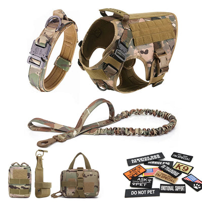 Complete Tactical Dog Gear Set