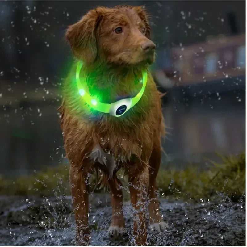 Dog USB Rechargeable Waterproof Collar