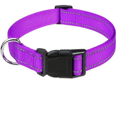 Stylish Choker Dog Collar