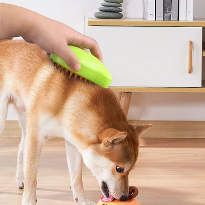 Dog Electric Water Spray Grooming Brush