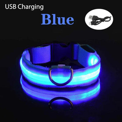 Dog USB Rechargeable Soft Safety Night Light Collar