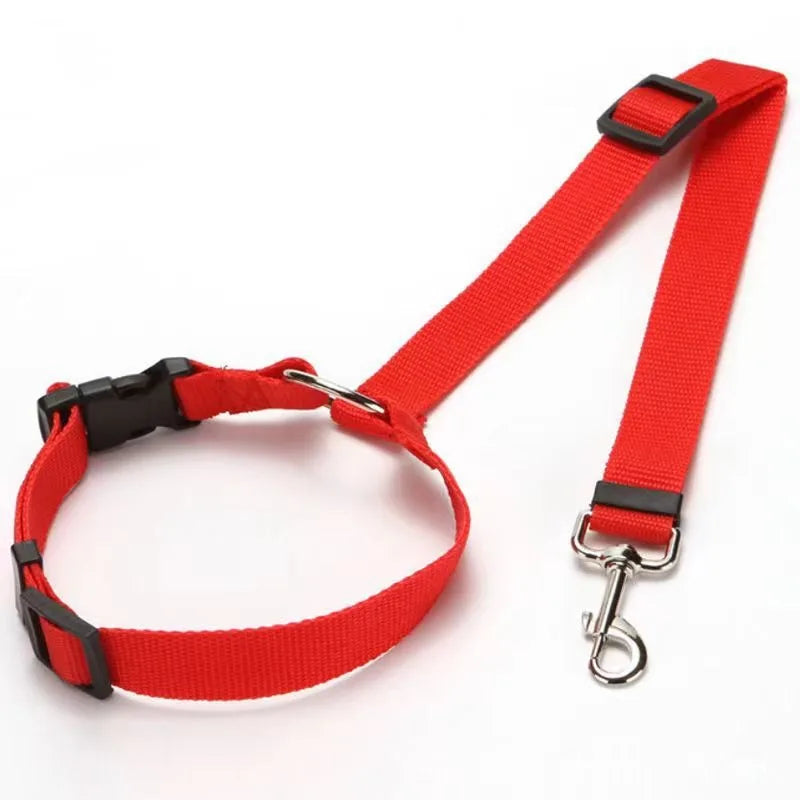 Dog Solid Color Two Nylon Lead Leash